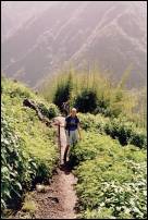 nepal abc an overgrown path