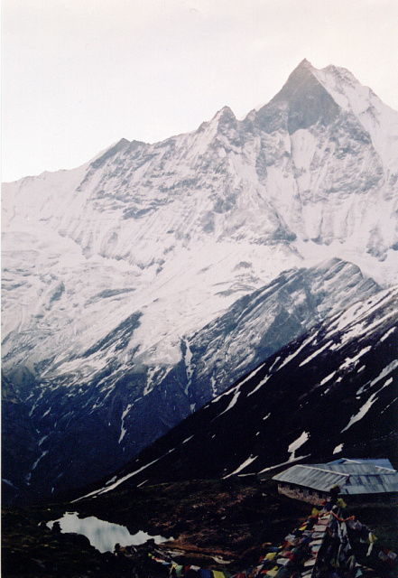 nepal abc and machapucchare