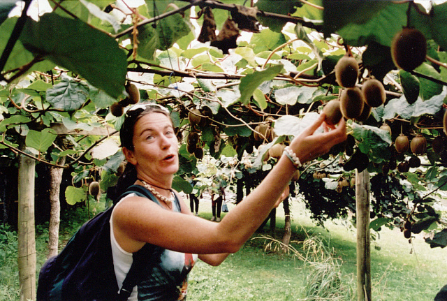 nz kate fondling kiwis