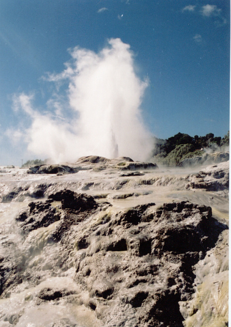 nz rotorua geyser