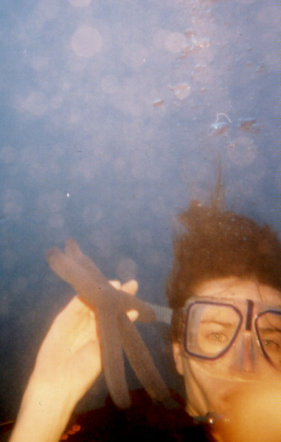 diving kate and starfish