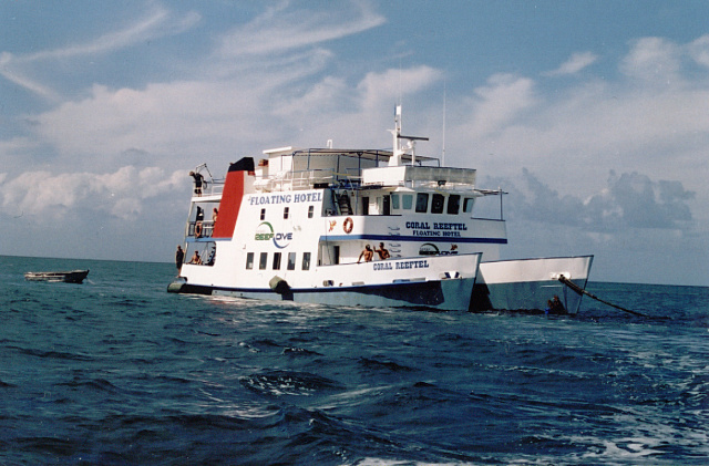 reef dive boat