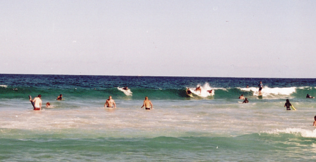 sydney surfing