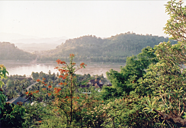 laos mekong flowers
