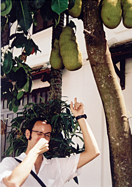 thailand stinky durian
