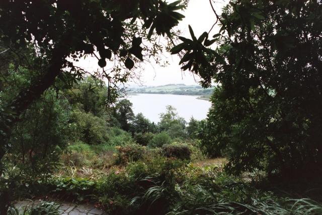 West cork verdant 2