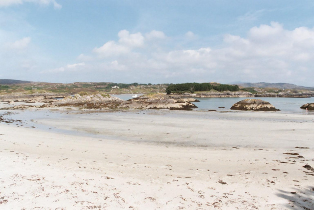 barleycove maybe