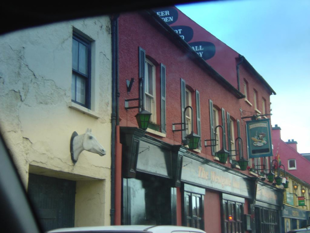 horses head