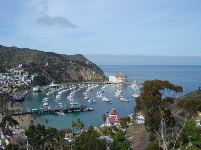 Avalon Cove