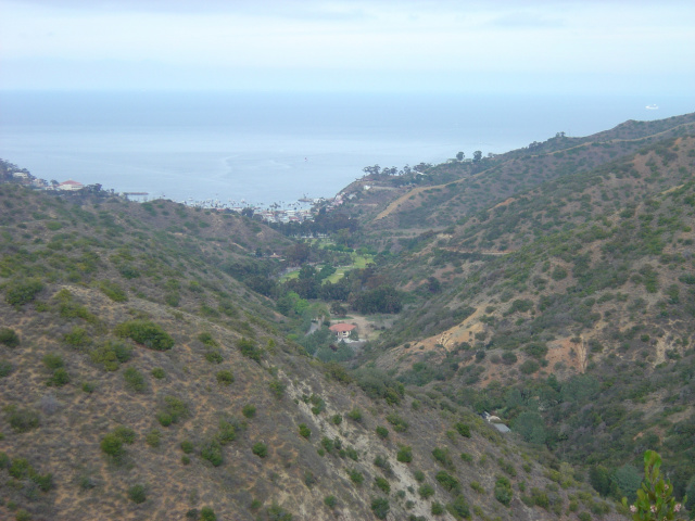 Avalon Valley Overview