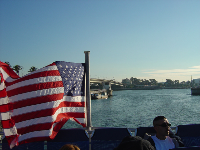 Flag Sailing Away