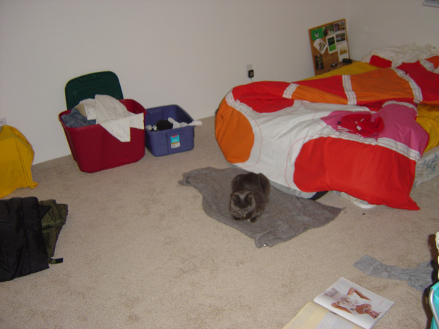 bubba bed