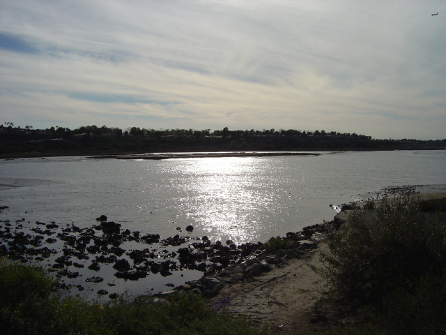 estuary