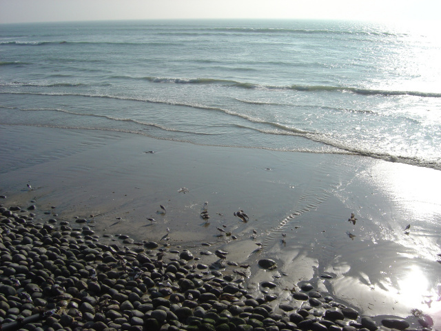 mexico beach 3