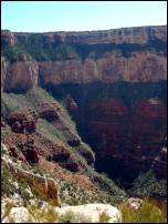 grand canyon tree terraces 2