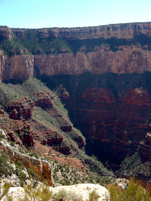 grand canyon tree terraces 2