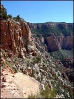 grand canyon tree terraces