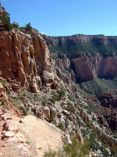grand canyon tree terraces