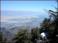 palm springs desert and snow