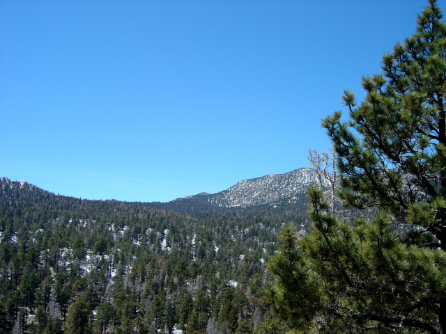 palm springs mt san jacinto