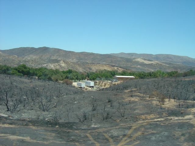 forest fire aftermath 2