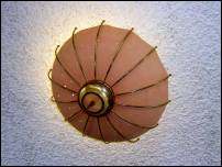 parasol 7