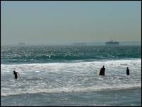 seal beach vista