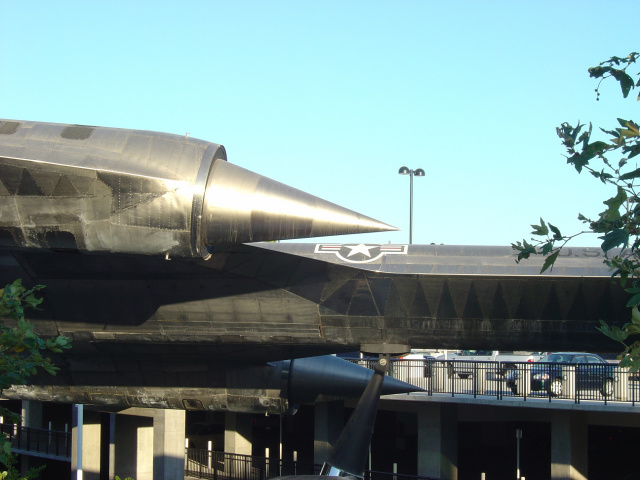 blackbird 1