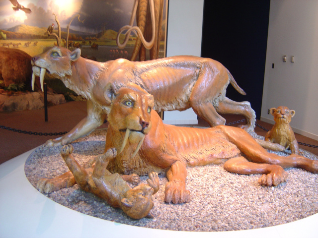 really crappy artists impression