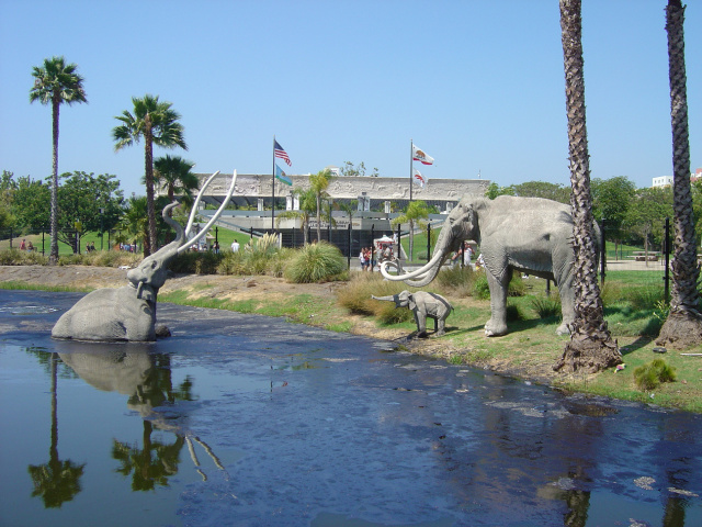 tarpits mammoths