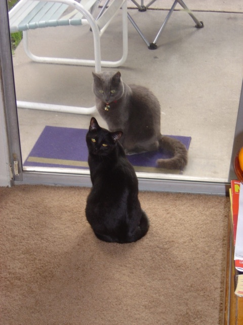 eva and bubba face to face