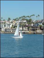 balboa peninsula 5