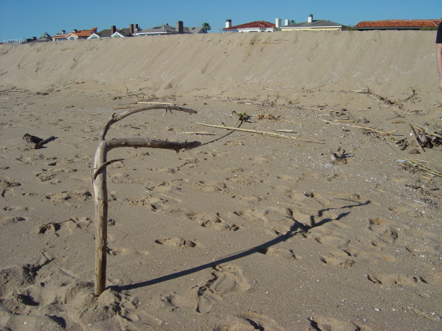 stick on beach 1