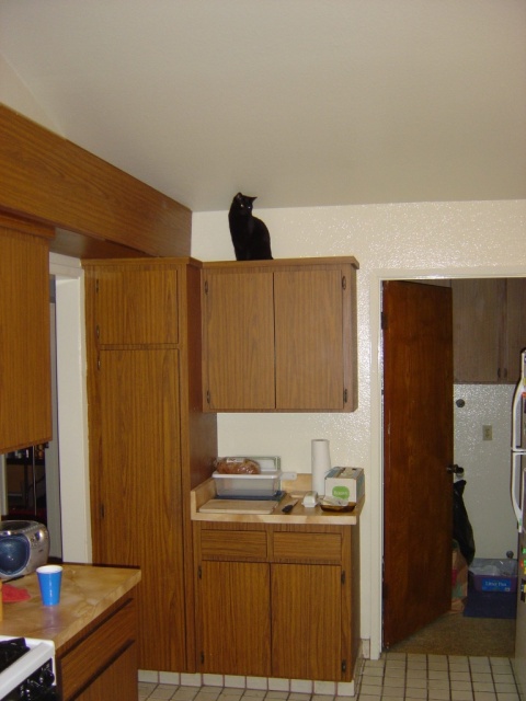 eva on cabinets