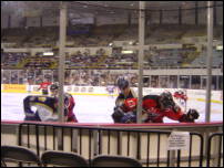 ice dogs game 09