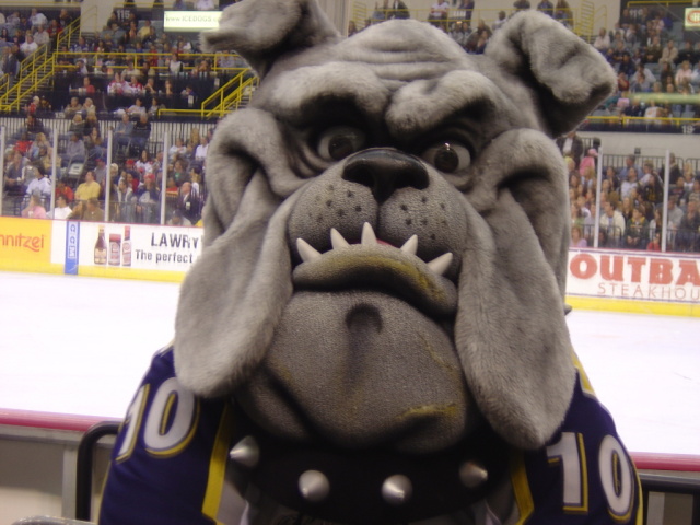 ice dogs game 14