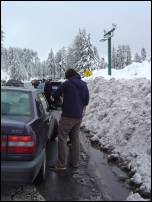 big bear putting on chains