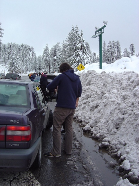 big bear putting on chains
