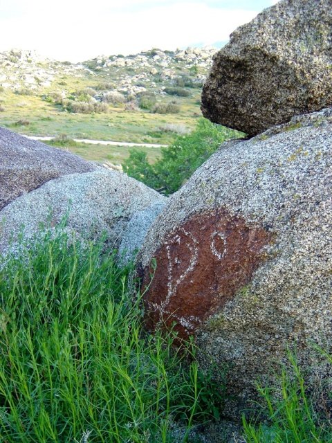 pictoglyph 1