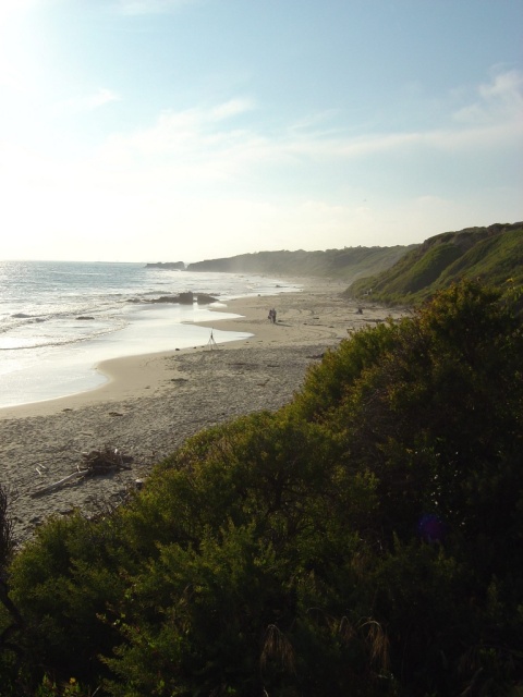 crystal cove view along beach