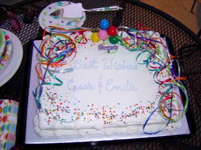 dr cassie and emilie cake 1