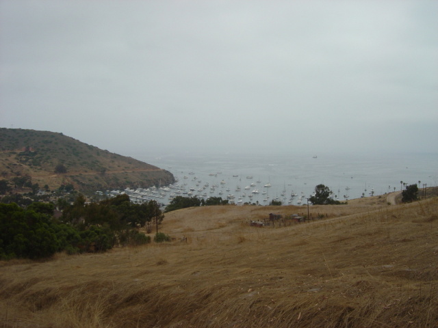 boats at two harbors day