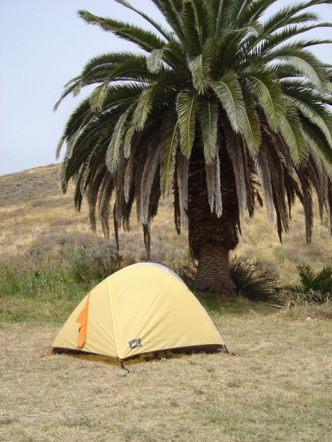 new tent