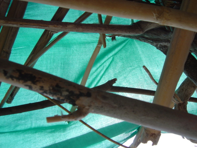 shelter constructed 2
