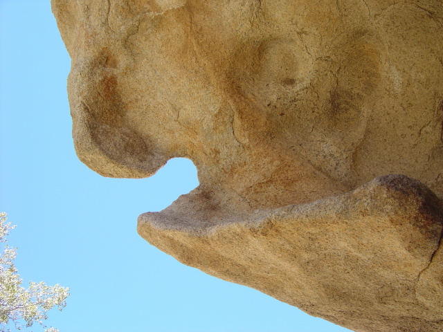 wind worn notch