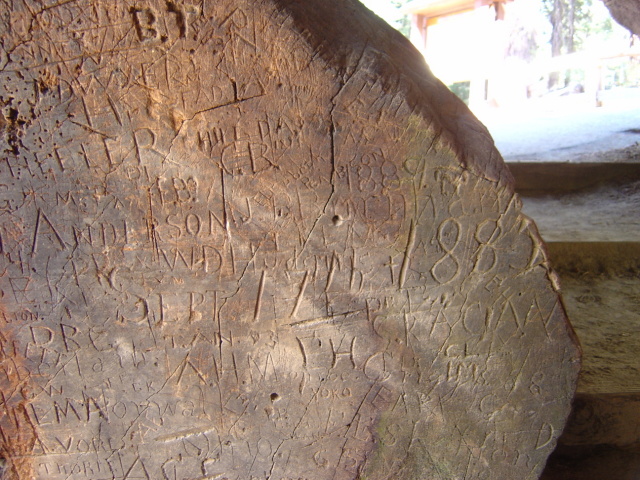 giant sequoia bar graffiti 1