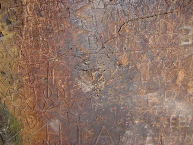 giant sequoia bar graffiti 2