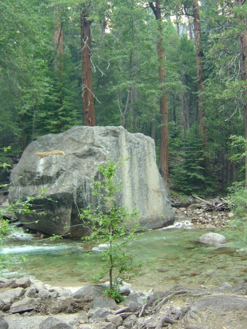 rock in river