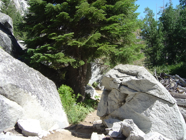 where we met the bear