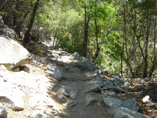 where we met the snake